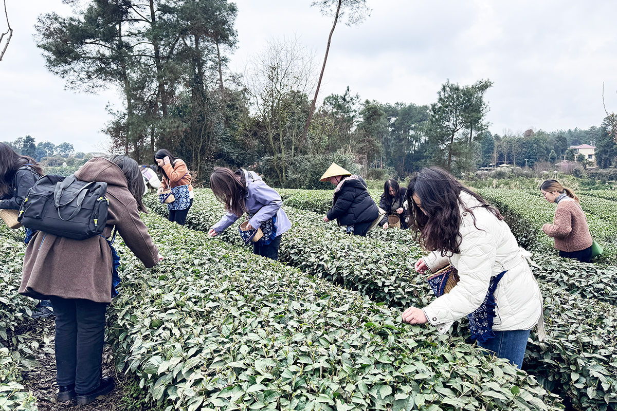 20250308-01-±¾²¿2 20250308-01-±¾²¿2